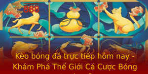 Keo Bong A Truc Tiep Hom Nay Kham Pha The Gioi Ca Cuoc Bong A Hap Dan