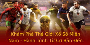 Kham Pha The Gioi Xo So Mien Nam Hanh Trinh Tu Co Ban En Nang Cao