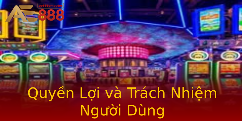 Quyền Lợi và Trách Nhiệm Người Dùng Quyền Lợi và Trách Nhiệm Người Dùng
